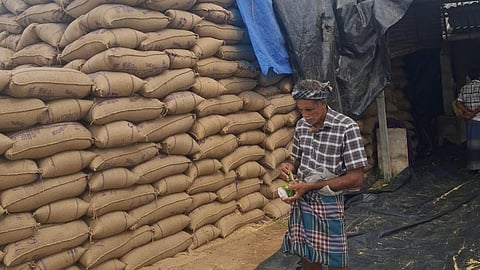 திமுக ஆட்சியில் ஆண்டுக்கு சராசரியாக 43 லட்சம் மெட்ரிக் டன் நெல் கொள்முதல்: அரசு பெருமிதம்