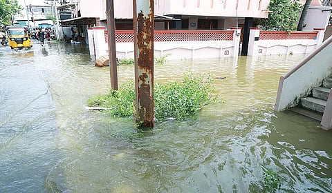 காட்பாடி அடுத்த அருப்புமேடு பகுதியில் குடியிருப்புகளை சூழ்ந்த ஏரி உபரிநீர்.
