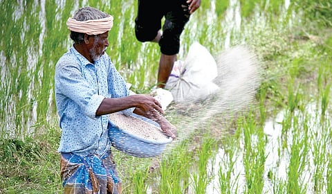 உரத்துக்காக ஏன் காத்திருக்கிறார்கள் விவசாயிகள்?