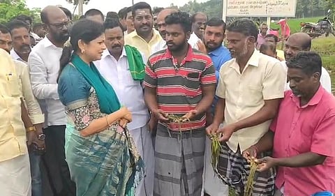 காலநிலை மாற்றத்தால் பாதிக்கப்படும் விவசாயிகளுக்கு உடனடி நிவாரணம்: சவுமியா அன்புமணி கோரிக்கை