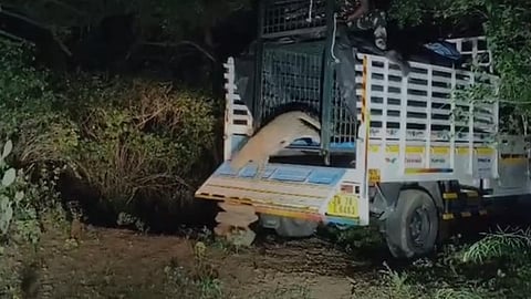 திருப்பூர்: உடுமலை அருகே கம்பிவேலியில் சிக்கிய சிறுத்தை பத்திரமாக மீட்பு