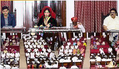 செல்லப் பிராணிகளுக்கு உரிமம் பெறாவிட்டால் ரூ.5 ஆயிரம் அபராதம் விதிக்க மாநகராட்சி நடவடிக்கை