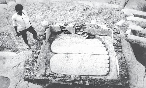 பகவதி மலையின் தொல்லெச்சங்கள்