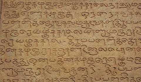 அடக்கம் இல்லாத ஆமைகள்! | உயிருக்கு நேர் 3