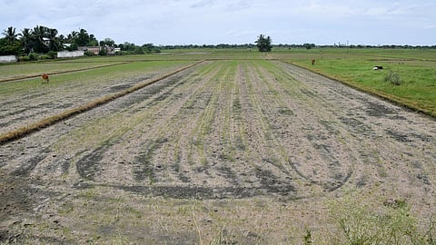 பரந்தூர் விமான நிலையத்துக்காக விவசாயிகளை மிரட்டி இதுவரை 1,000 ஏக்கர் நிலம் கையகப்படுத்தி உள்ளதாக குற்றச்சாட்டு