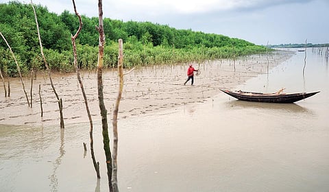 உலகின் மிகப்பெரிய அலையாத்திக் காடான சுந்தரவனமும் புலி நடமாட்டம் குறித்த எச்சரிக்கைப் பலகையும் | படங்கள்: செந்தில்குமரன் |