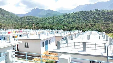 மேம்படும் பழங்குடி மக்களின் வசிப்பிடம் - தாட்கோ நிறுவனத்தால் கட்டப்படும் வீடுகள்