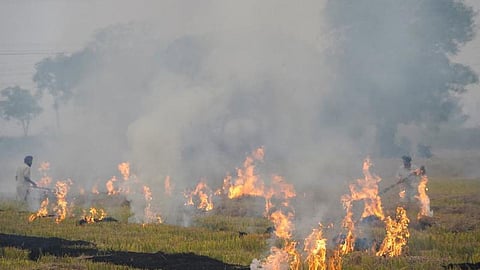 டெல்லியில் மோசமடைந்த காற்று மாசுபாடு: 24 மணி நேரத்தில் 6 மாநிலங்களில் பயிர்க் கழிவுகள் எரிப்பு 60% அதிகரிப்பு