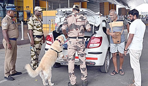 சென்னை விமான நிலையத்தில் மத்திய தொழில் பாதுகாப்பு படையினர் மோப்ப நாயுடன் தீவிர சோதனையில் ஈடுபட்டனர். | படம்: எம்.முத்துகணேஷ் |