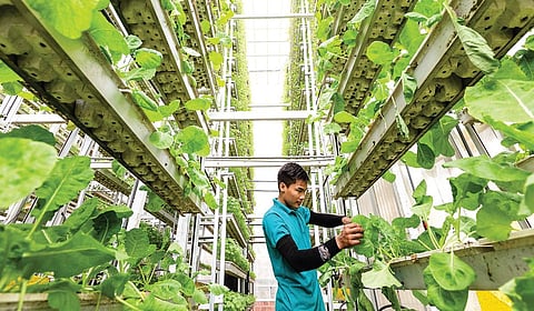 வேளாண் ஆராய்ச்சியின் புதிய முகம் - வேலைன்னு வந்துட்டா... | அத்தியாயம் 6