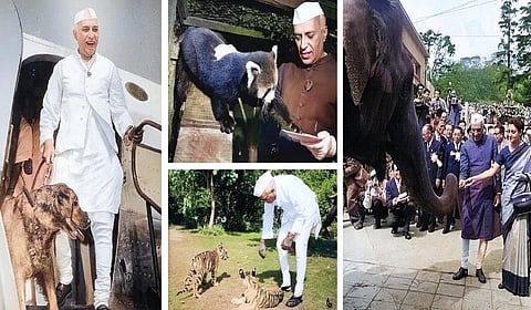 நேரு மாமாவின் செல்லங்கள்! | வரலாறு முக்கியம் மக்களே! - 24