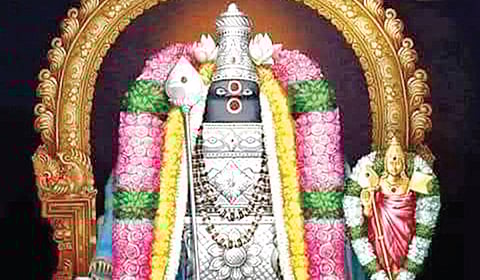 விருத்தாசலத்தில் சுயம்பு முருகன்