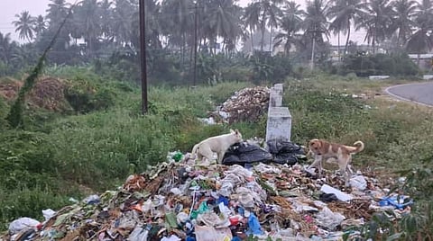 எலத்தூர் குளத்தின் நீர் வழித்தடத்தில் குப்பையை அகற்ற கோரிக்கை