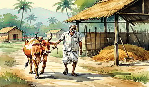 பவுண்டி