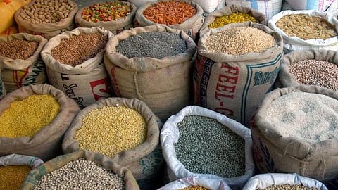 நாட்டின் உணவு தானியங்கள் உற்பத்தியில் புதிய சாதனை