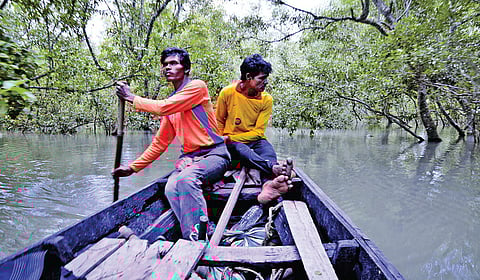 புலிகளும் மனிதர்களும்: இருதரப்புப் போராட்டம் | காடு என்ன சொல்கிறது? - 4