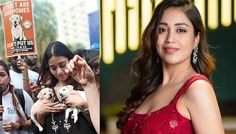 தெருநாய் பிரச்சினைக்கு தீர்வு கண்டறிய வேண்டும்: நடிகை நிவேதா பெத்துராஜ் வலியுறுத்தல்