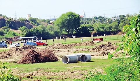 வெள்ளைக் கண் வைரியும் வெள்ளுடை வீரர்களும்