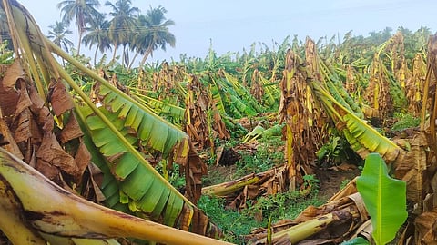 கோப்புப் படம்
