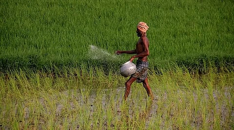 விவசாயிகள் அடையாள எண் பெறுவதில் விலக்கு - டிச.1 வரை பயிர்க் காப்பீடு செய்ய அனுமதி!