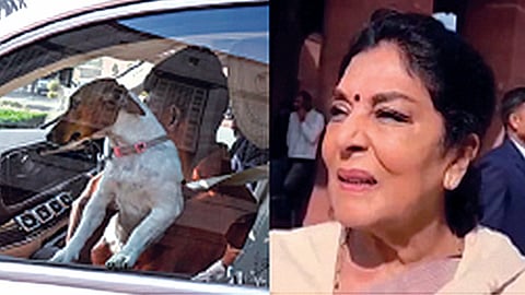 நாடாளுமன்ற வளாகத்தில் காரில் நாயுடன் நுழைந்த காங்கிரஸ் எம்.பி. ரேணுகா சவுத்ரியால் சர்ச்சை