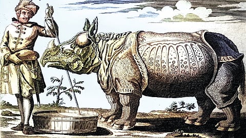 கிளாராவின் பயணங்கள்! |வரலாறு முக்கியம் மக்களே! - 27