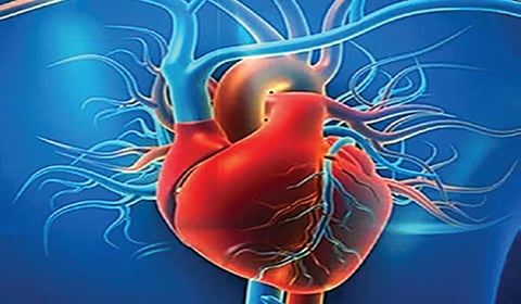 மனிதனுக்கு விலங்கின் இதயத்தைப் பொருத்த முடியுமா? | டிங்குவிடம் கேளுங்கள்