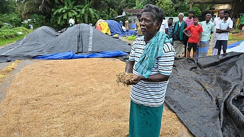 தஞ்சையில் காலியாக உள்ள வேளாண் உதவி இயக்குநர் பணியிடங்கள் - பயிர் பாதிப்பு கணக்கெடுப்பு தொய்வு