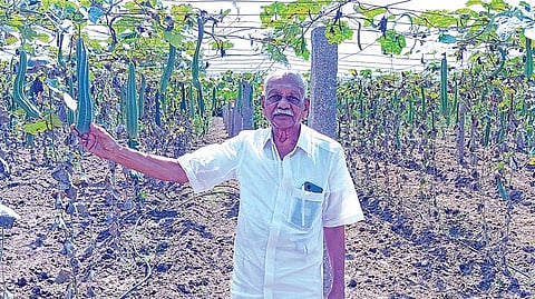 பிரதமரிடம் பாராட்டு பெற்ற 84 வயது இயற்கை விவசாயி: பந்தல் காய்கறி சாகுபடியின் முன்னோடி