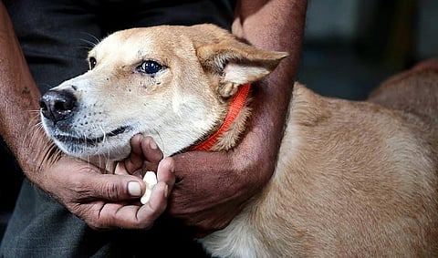 கோப்புப் படம்