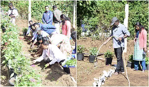 63-வது மலர்க் கண்காட்சிக்கு தயாராகும் கொடைக்கானல் பிரையன்ட் பூங்கா: நடவுப் பணி தொடக்கம்!