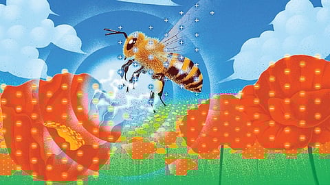 மகரந்தச் சேர்க்கையும் ஒரு மின்தூண்டலே | இயற்கையில் அறிவியல் 10