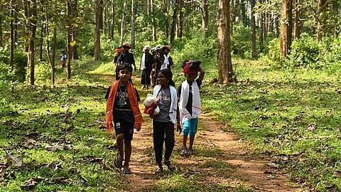 சபரிமலைக்கு வனப் பாதை வழியாக வரும் பக்தர்கள் எண்ணிக்கை அதிகரிப்பு: திருவிதாங்கூர் தேவஸ்வம் போர்டு தகவல்