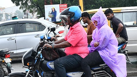 படம்: எஸ். கிருஷ்ணமூர்த்தி 