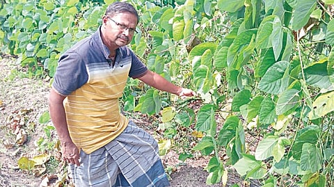 ரமேஷ் சுப்பிரமணியன்