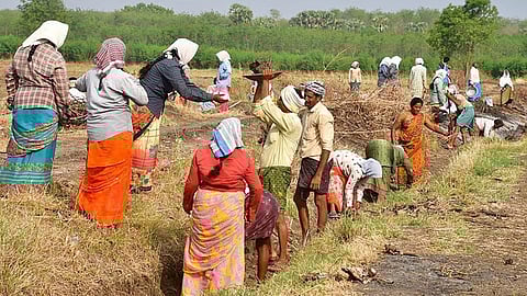 புதிய கிராமப்புற வேலைவாய்ப்புத் திட்டம் வேலைவாய்ப்பைக் குறைக்குமா?