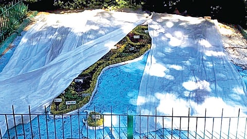 பனியில் இருந்து மலர்ச் செடிகளை பாதுகாக்கும் வகையில் பிளாஸ்டிக் போர்வை போர்த்தப்பட்டுள்ளது.