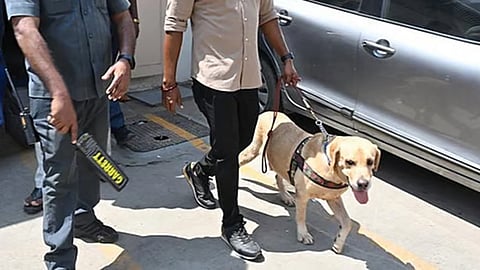 கோப்புப் படம்