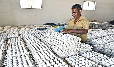 பறவைக் காய்ச்சல் பாதிப்பால் நாமக்கல் முட்டைகள் தேக்கமா? - வியாபாரிகள் சங்கத் தலைவர் விளக்கம்