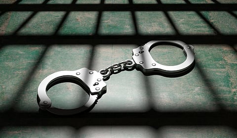 பிரதிநிதித்துவப் படம் 