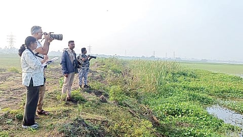 செங்கல்பட்டு மாவட்டத்தில் உள்ள அஞ்சூர் ஏரி மற்றும் மறைமலைநகர் பகுதி ஏரிகளில் உள்ள பறவைகள் குறித்து கணக்கெடுப்பு பணியில் ஈடுபட்டுள்ள புகைப்பட கலைஞர்கள்.