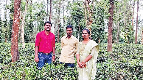 இயற்கை விவசாயத் தோட்டத்தில் பார்த்தசாரதி (நடுவில் இருப்பவர்). உடன் தோட்டக்கலைத்துறை துணை இயக்குநர் ஜெயலட்சுமி, ‘அட்மா' திட்ட ஒருங்கிணைப்பாளர் ஜெகதீஸ்வரன்.