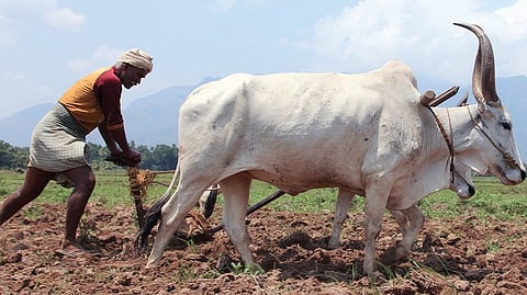 உழவுத்தொழில்: சாதனைகளும் சோதனைகளும் | கற்றதும் பெற்றதும் 2025