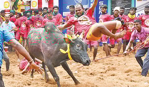 ஜன.17-ம் தேதி புகழ்பெற்ற அலங்காநல்லூர் ஜல்லிக்கட்டு: அரசின் வழிகாட்டு நெறிமுறைகள் வெளியீடு