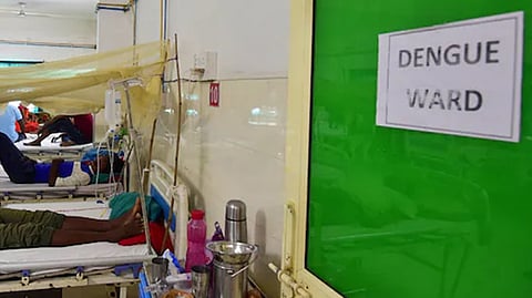 டெங்கு காய்ச்சல் பாதிப்பில் தமிழகம் முதலிடம்: 2025-ம் ஆண்டில் 20,866 பேருக்கு தொற்று