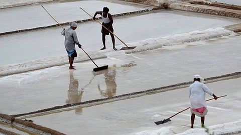 தூத்துக்குடி உப்பளங்களில் ஜிப்சம் எடுக்கும் பணி தீவிரம்: போதிய விலை கிடைக்காததால் கவலை