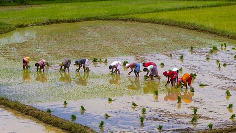 தமிழக அரசின் ‘உழவர் அலுவலர் தொடர்பு 2.0’ திட்டத்துக்கு எதிர்ப்பு ஏன்?
