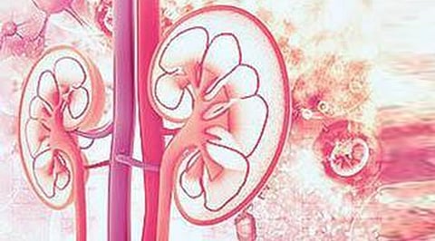 திருச்சி மருத்துவமனை மீது சிறுநீரக முறைகேடு புகார் - விசாரிக்க சிறப்பு குழுவை அமைத்தது அரசு