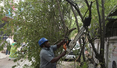 கோப்புப் படம் 