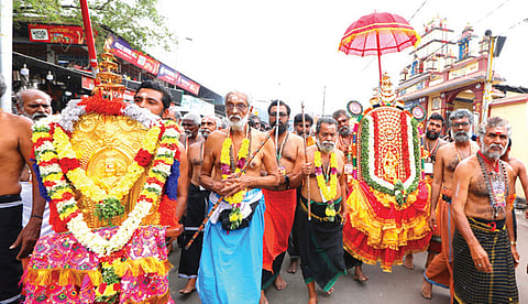 அம்பலப்புழா, ஆலங்காடு பக்தர்கள் குழு சார்பில் எருமேலியில் நடைபெற்ற பேட்டை துள்ளல் ஊர்வலம்.